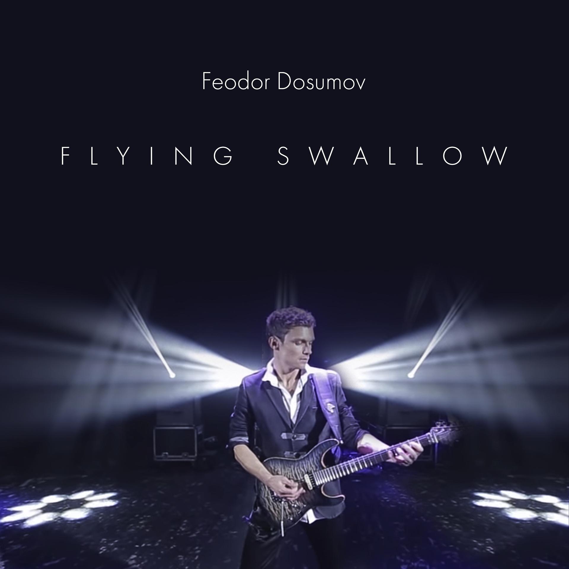 Постер альбома Flying Swallow