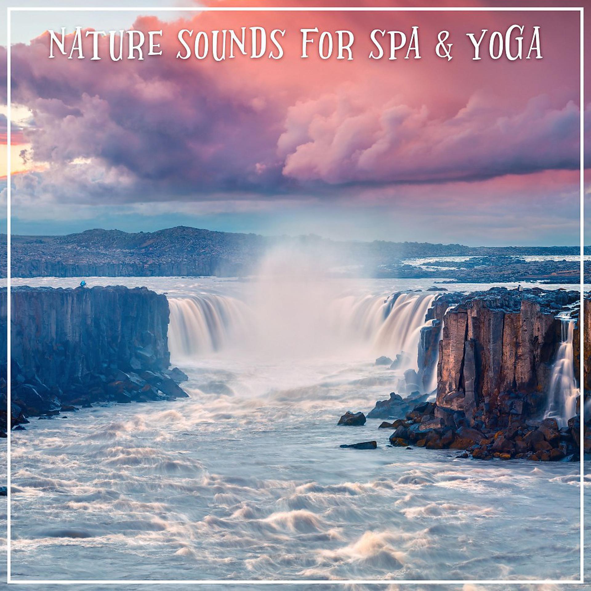 Постер альбома Nature Sounds for Spa & Yoga