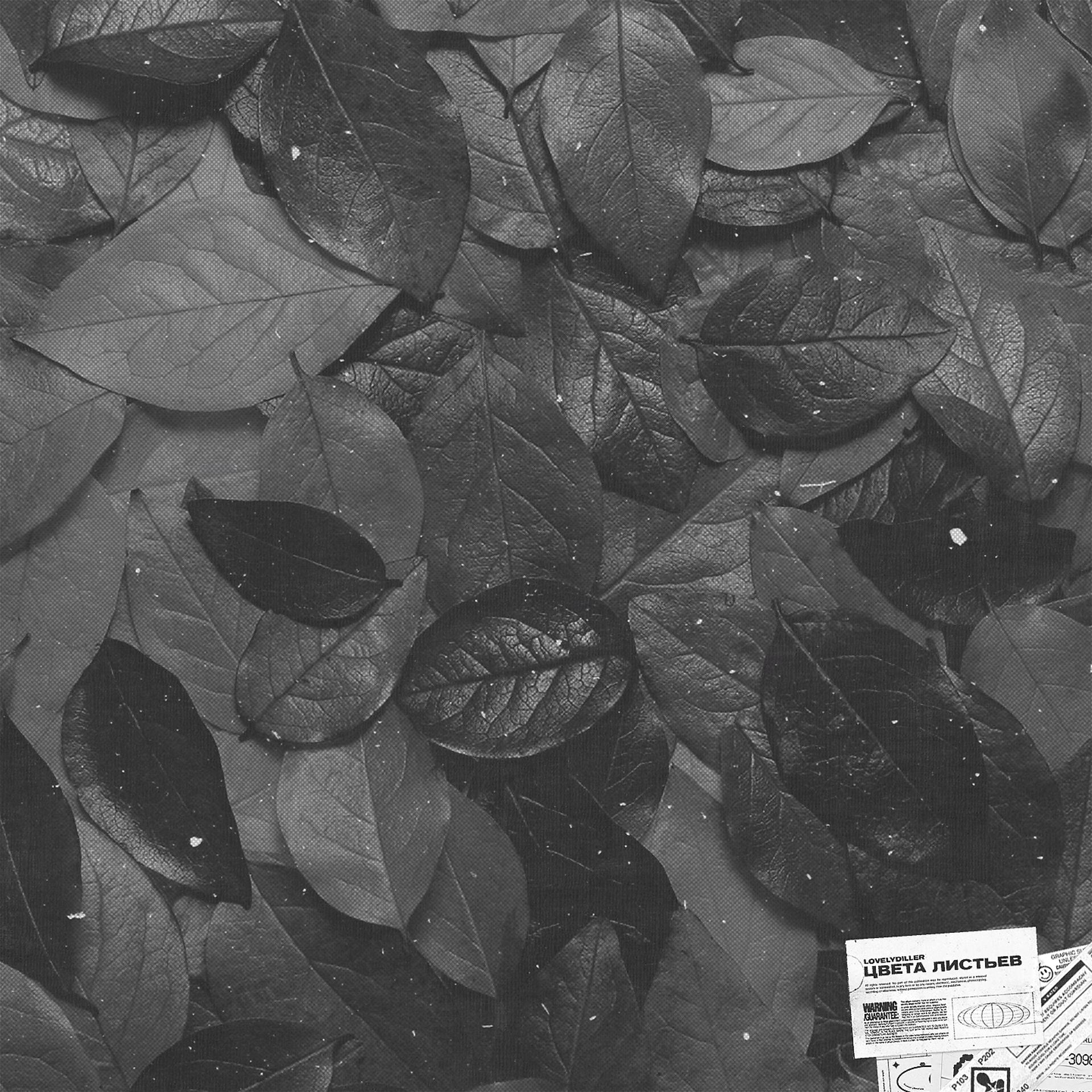Постер альбома Цвета листьев