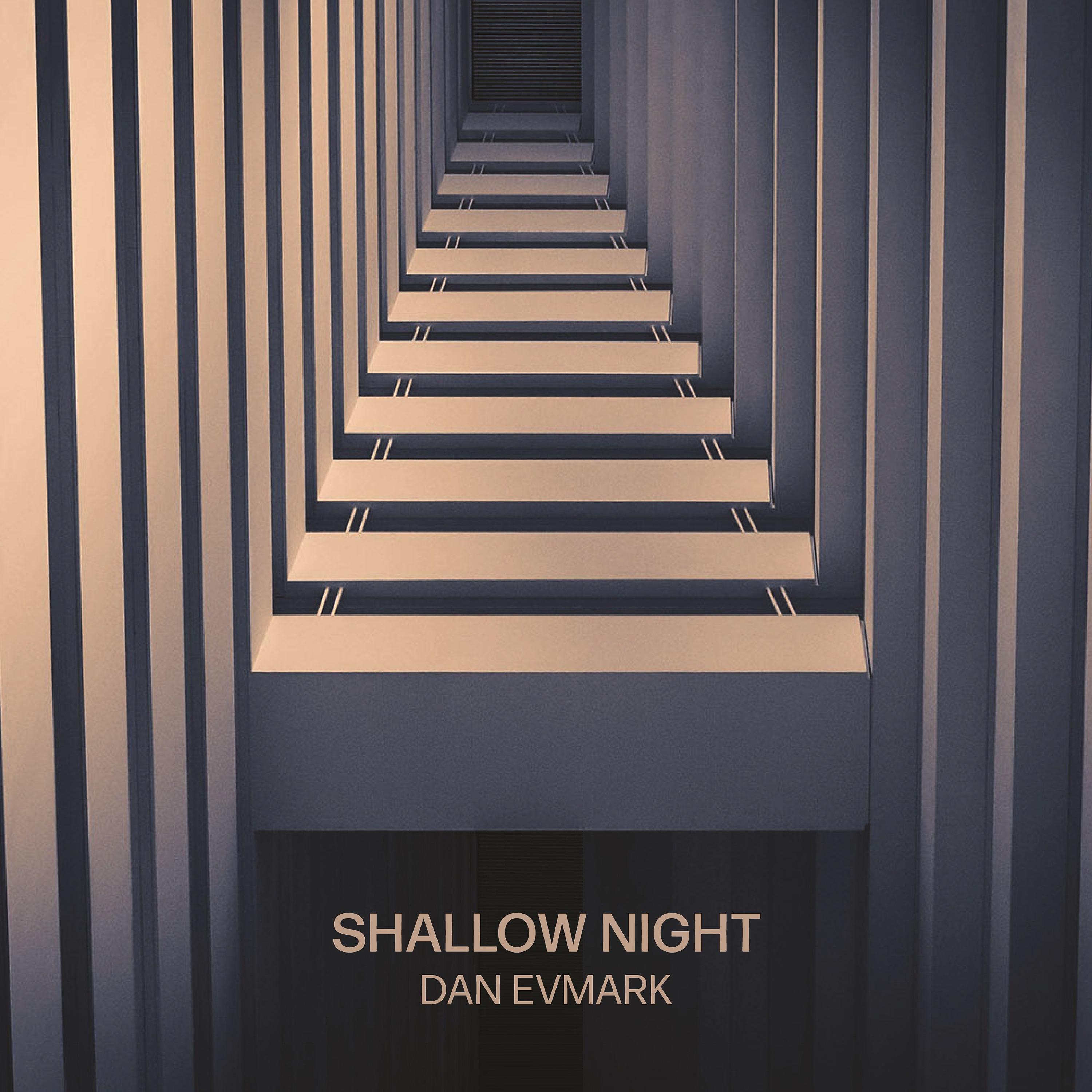 Постер альбома Shallow Night