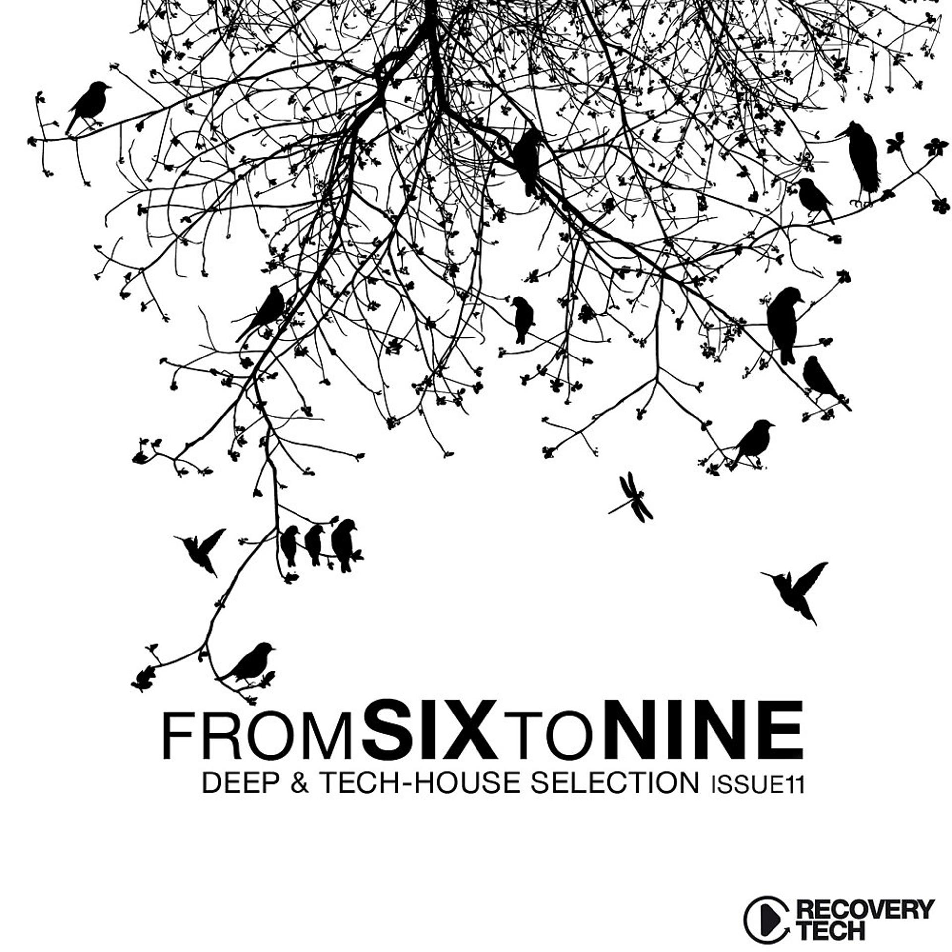 Постер альбома Fromsixtonine Issue 11