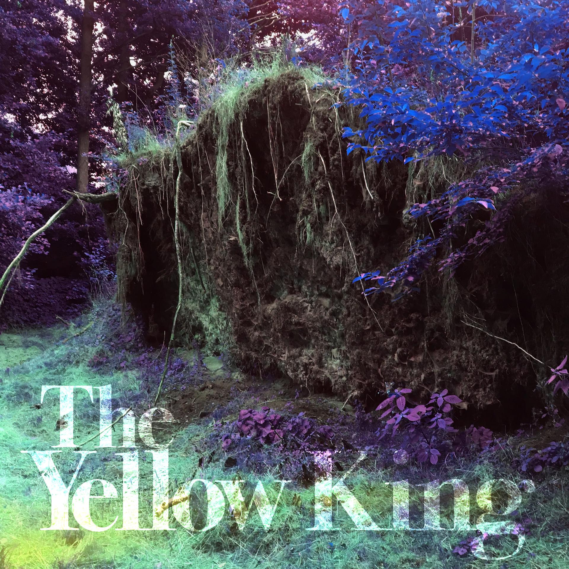 Постер альбома The Yellow King