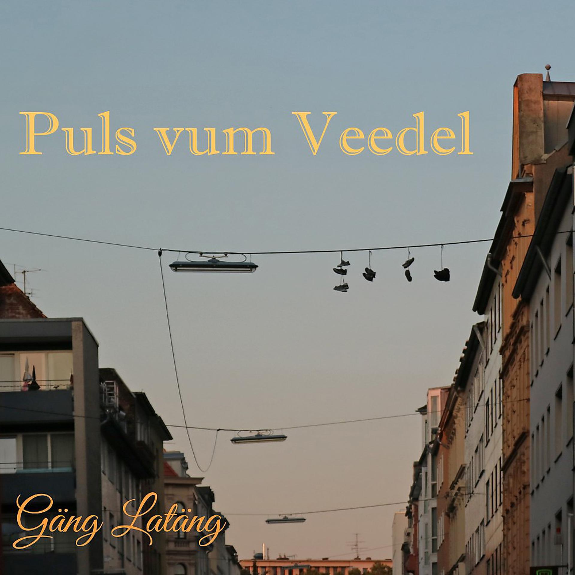 Постер альбома Puls vum Veedel
