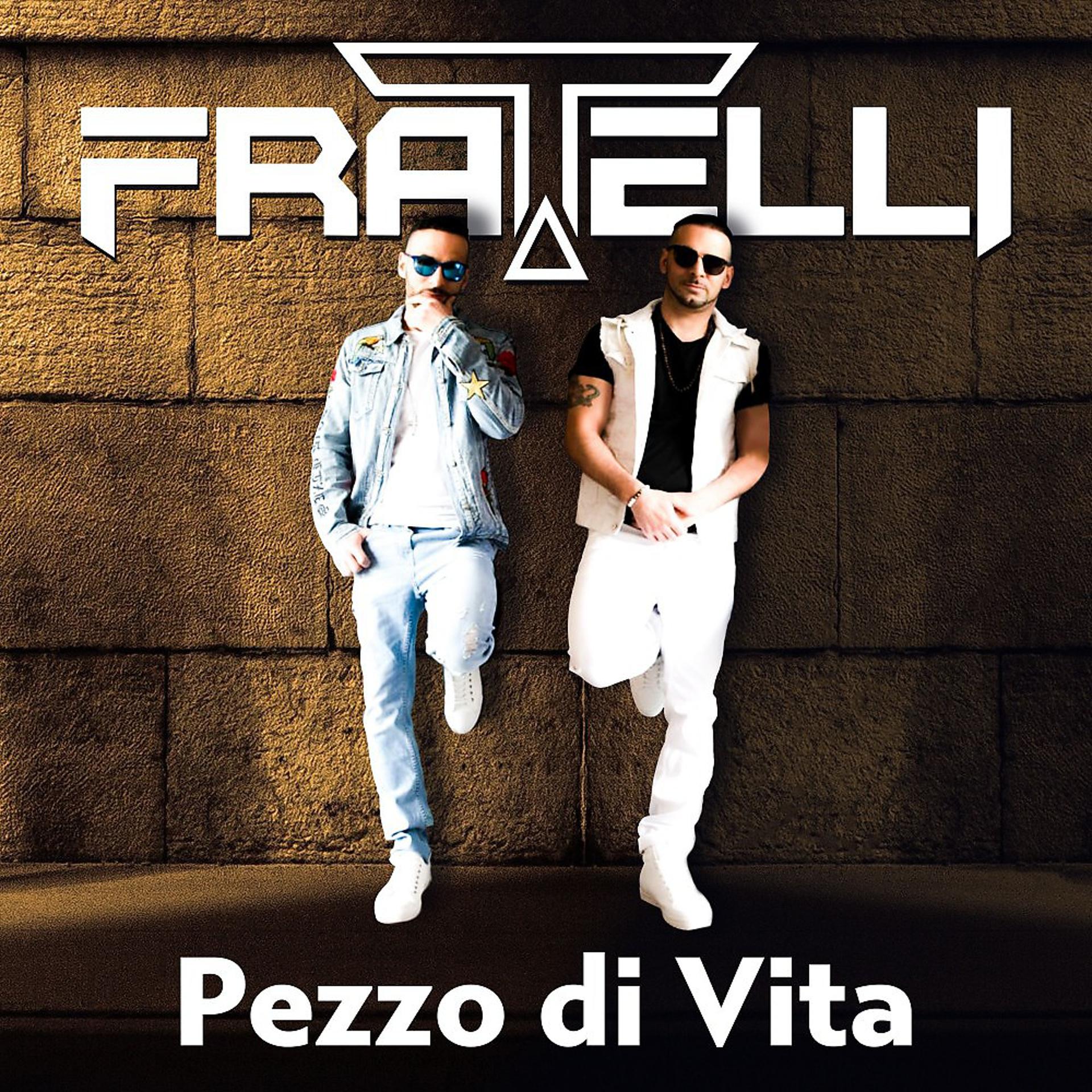 Постер альбома Pezzo di vita (Radio Edit)