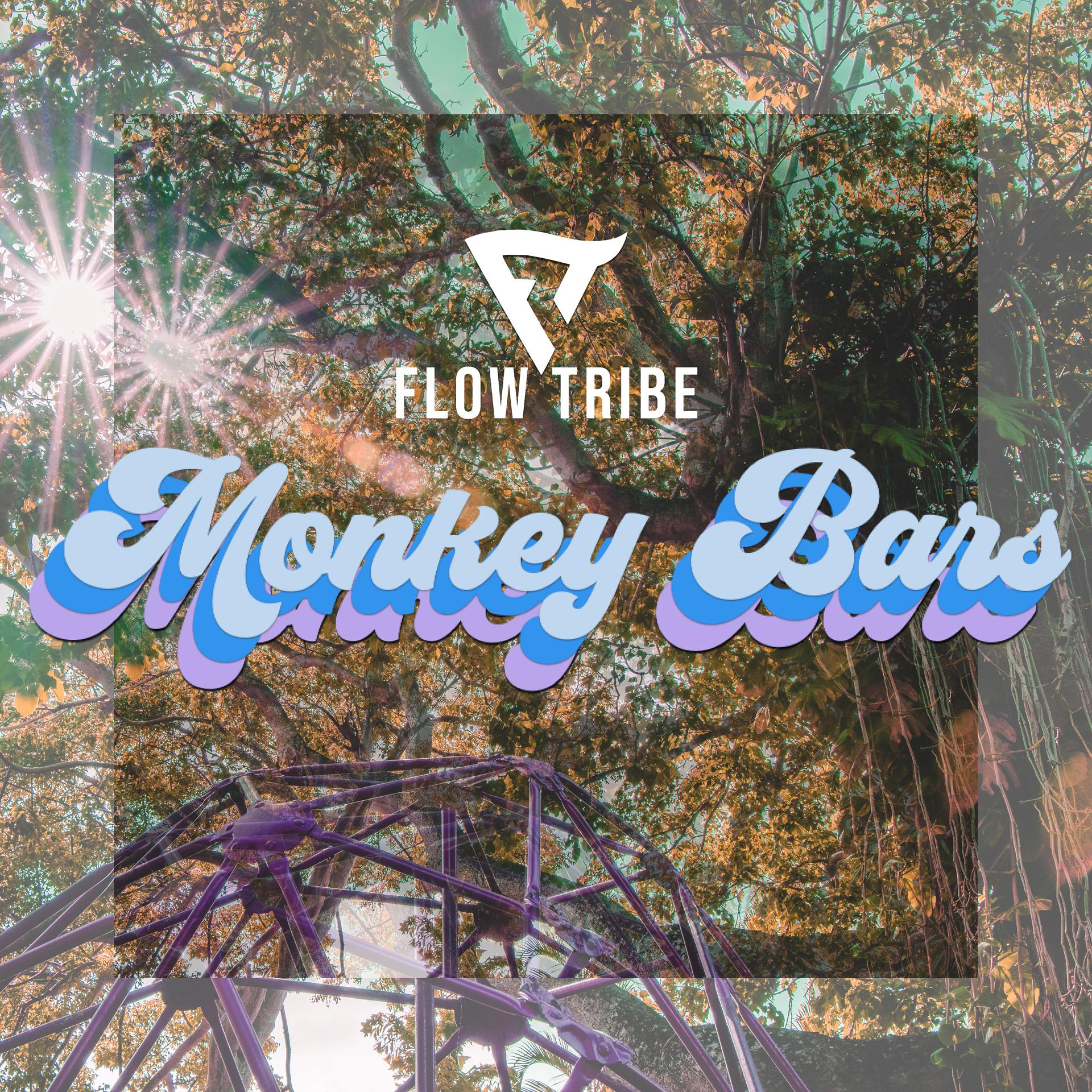 Постер альбома Monkey Bars