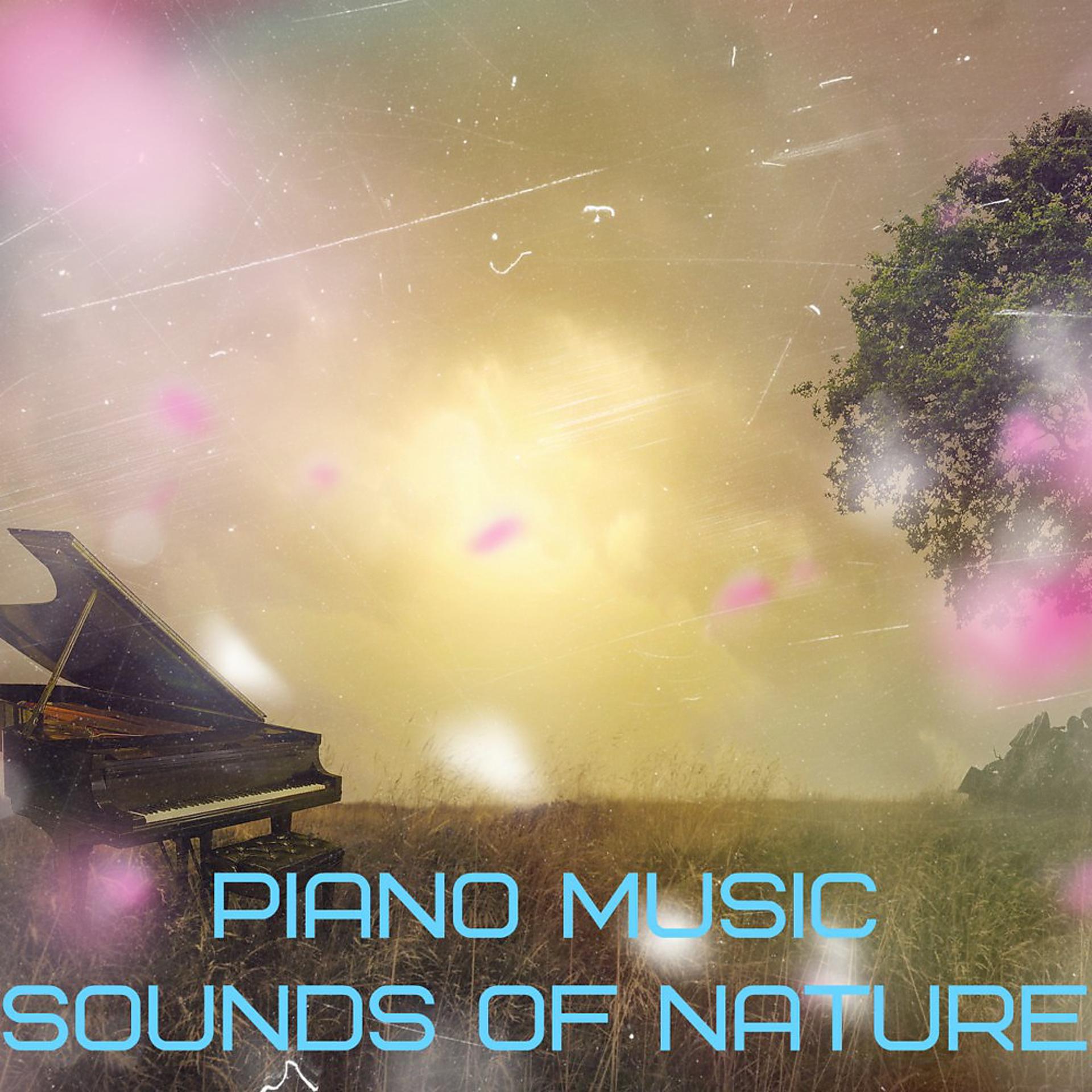 Постер альбома Piano Music and Sounds of Nature