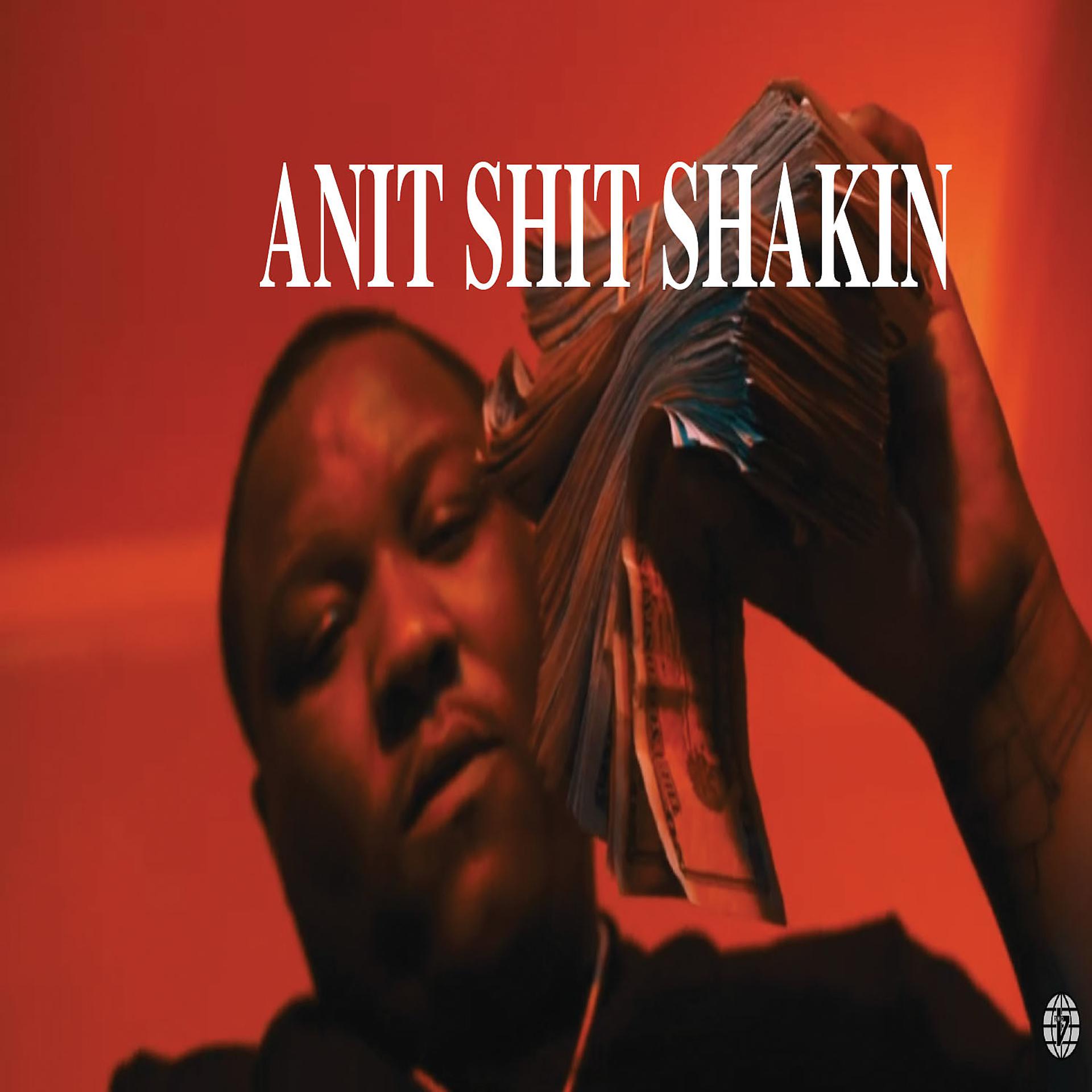 Постер альбома Anit shit shakin