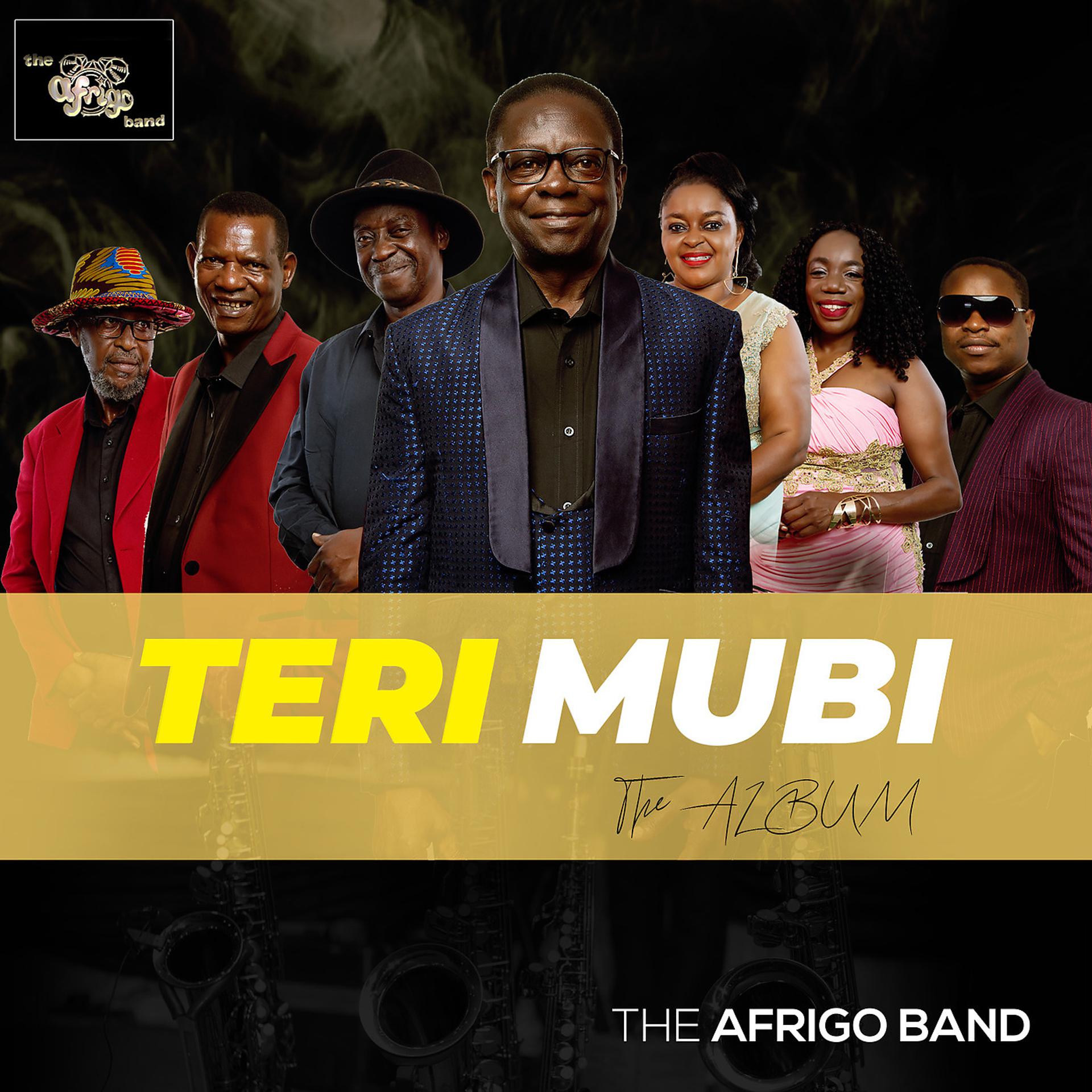 Постер альбома Teri Mubi