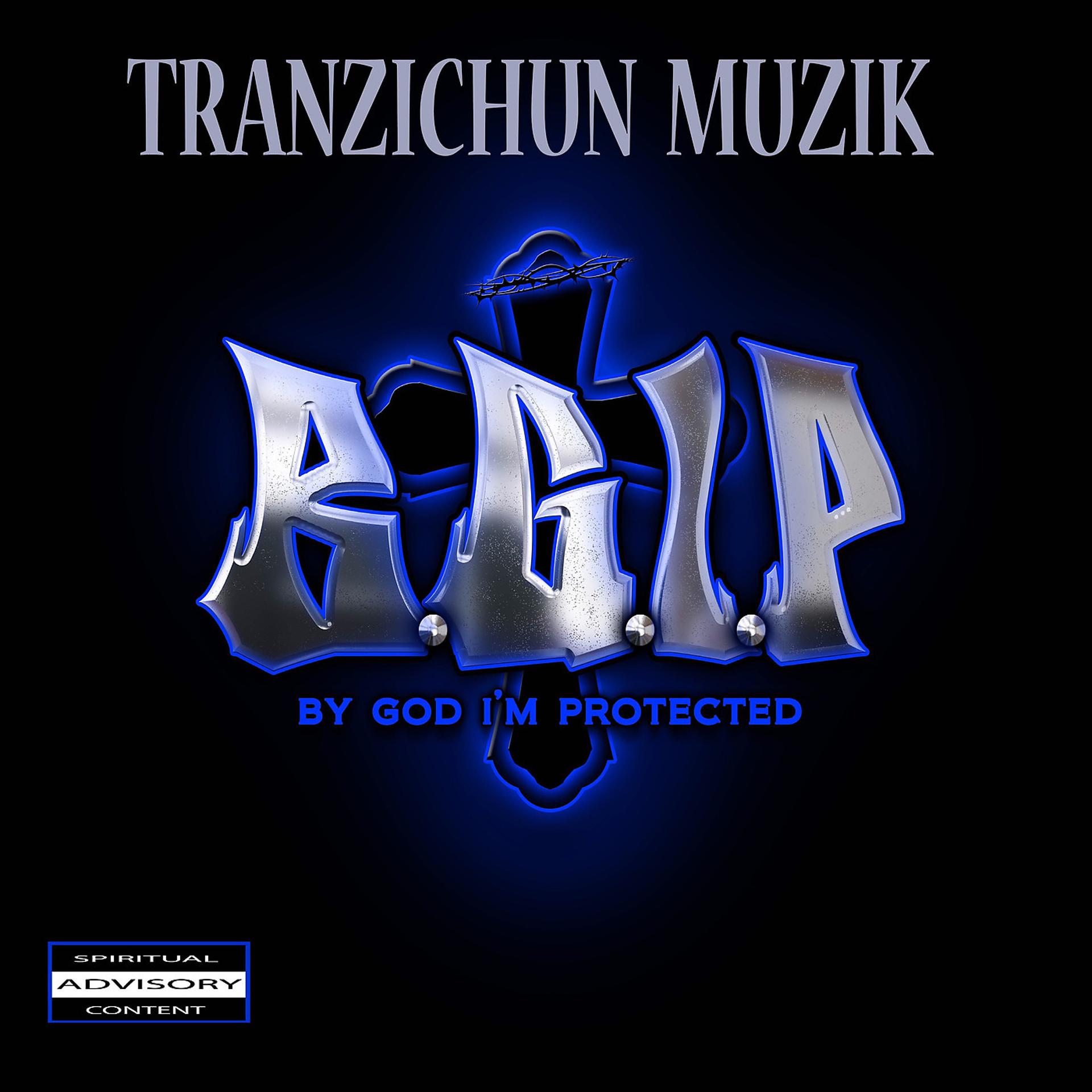 Постер альбома Tranzichun Muzik