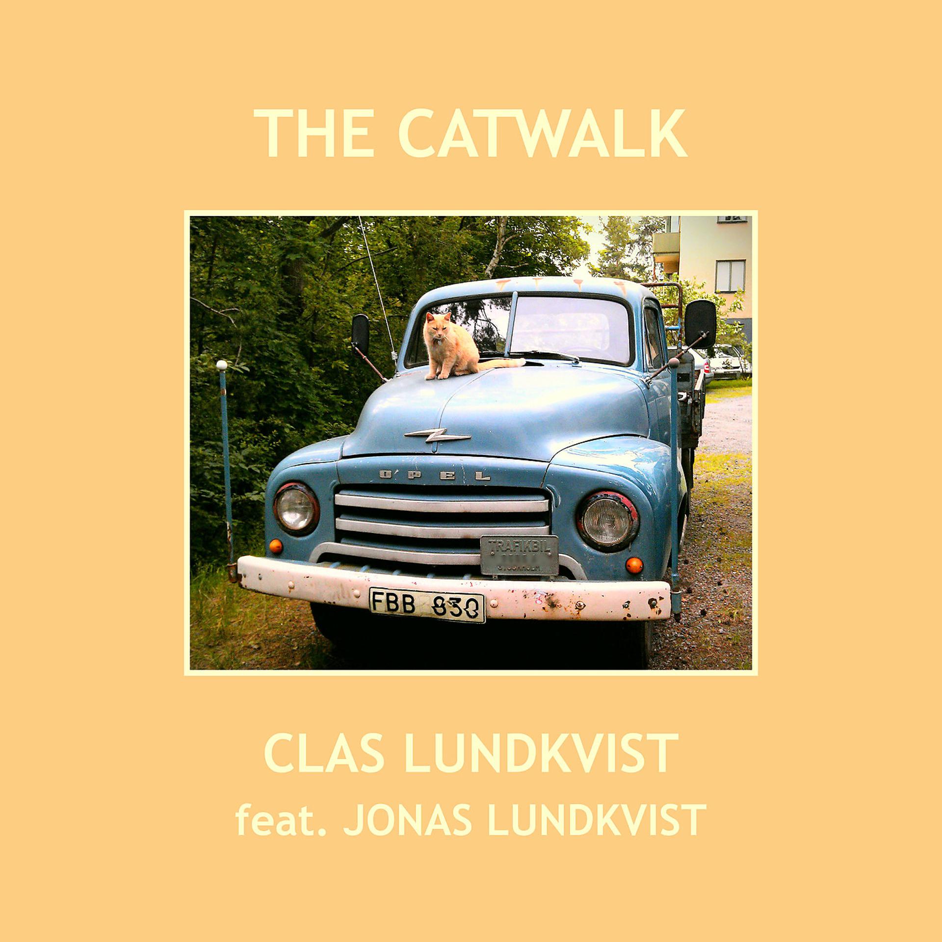 Постер альбома The Catwalk