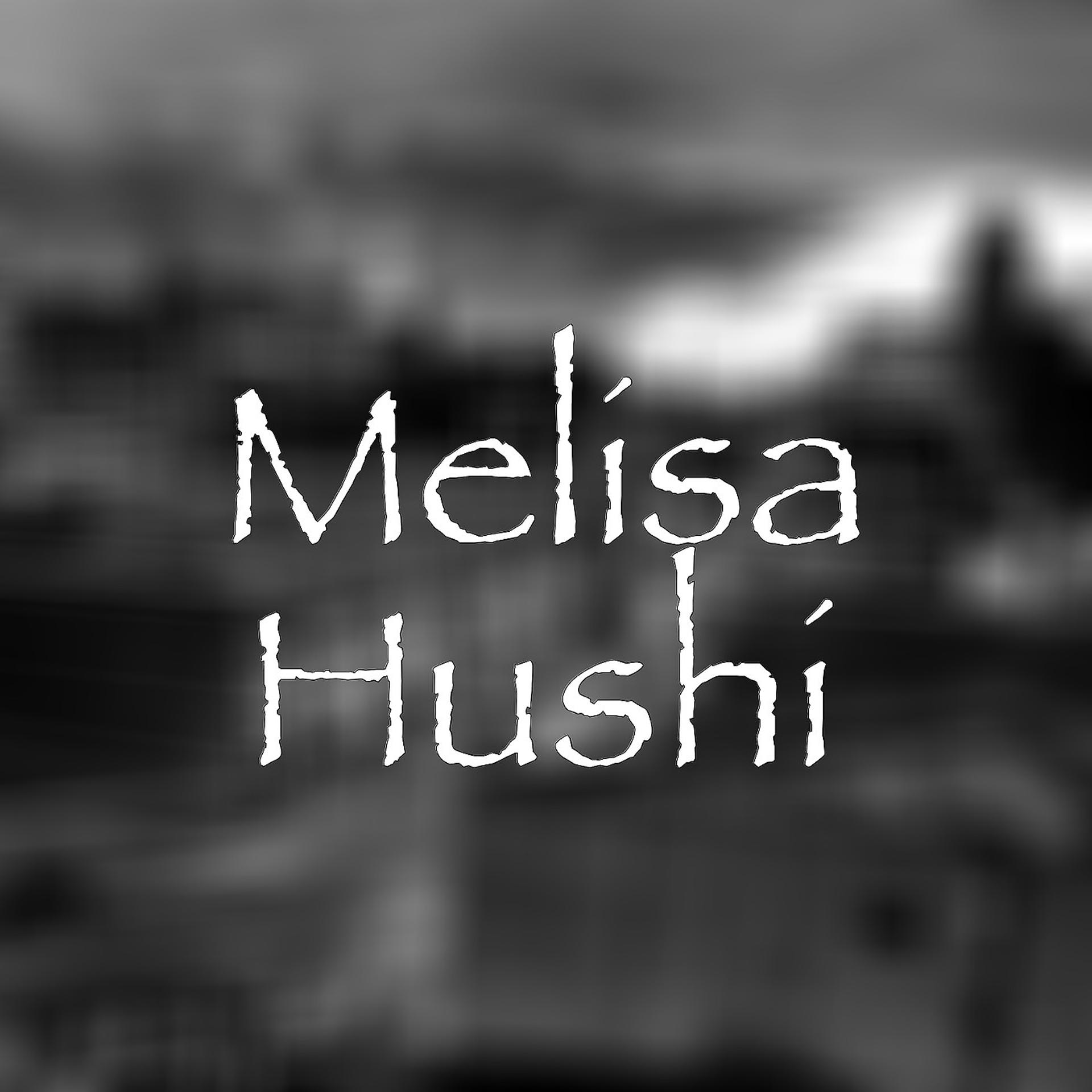 Постер альбома Hushi