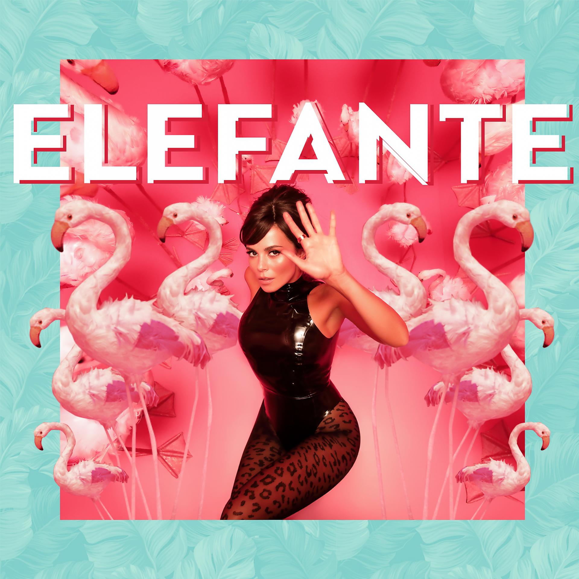 Постер альбома Elefante