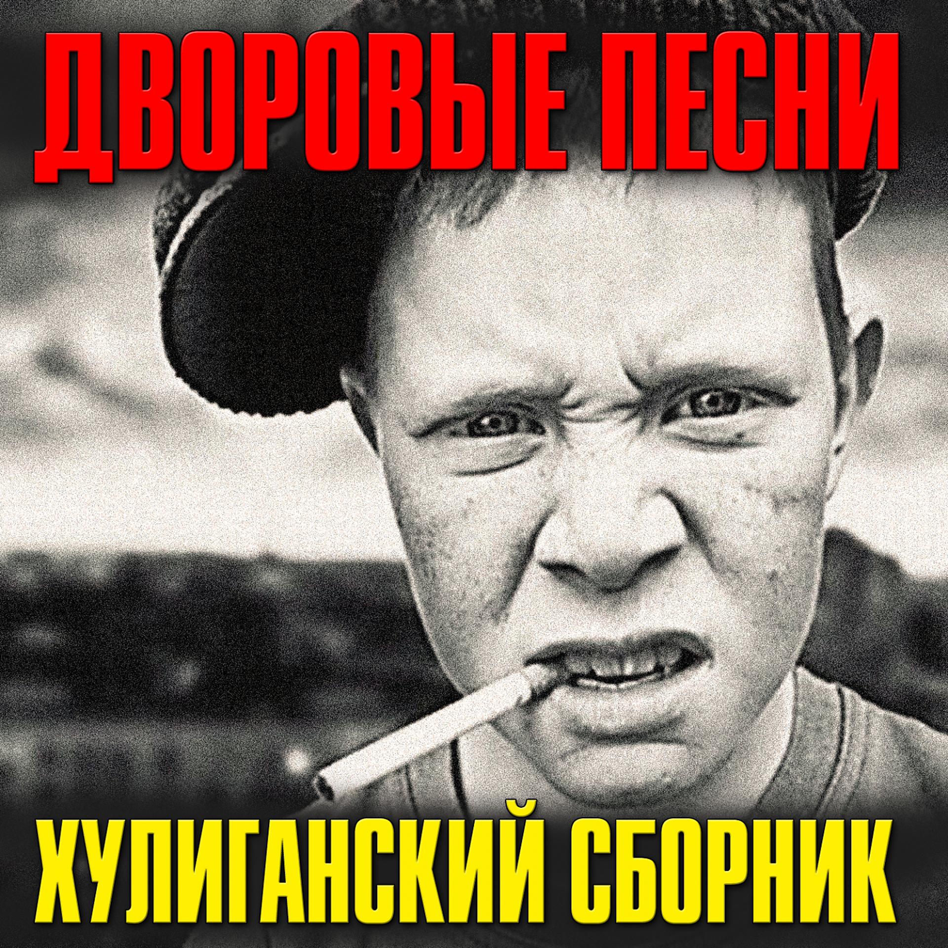 Постер альбома Дворовые песни