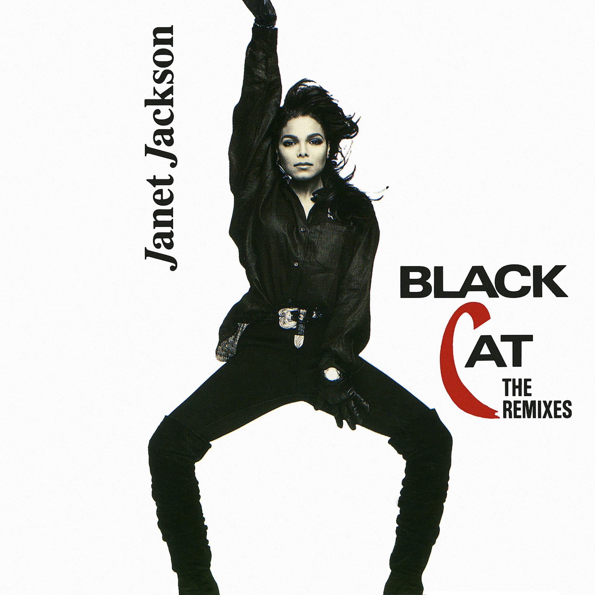 Постер альбома Black Cat: The Remixes