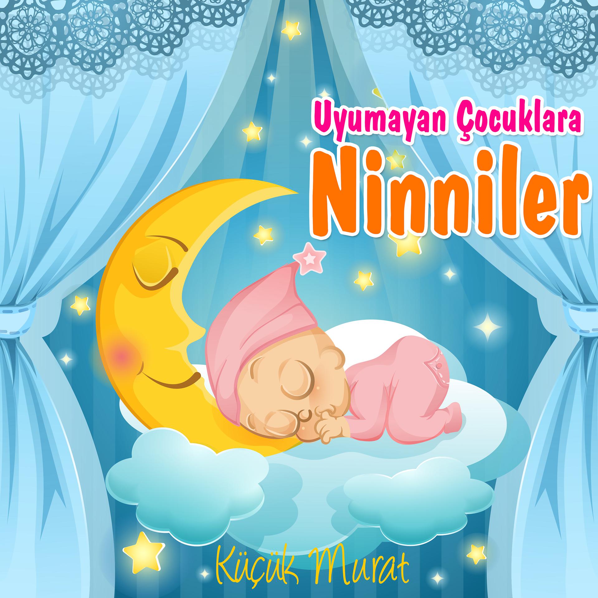Постер альбома Uyumayan Çocuklara Ninniler