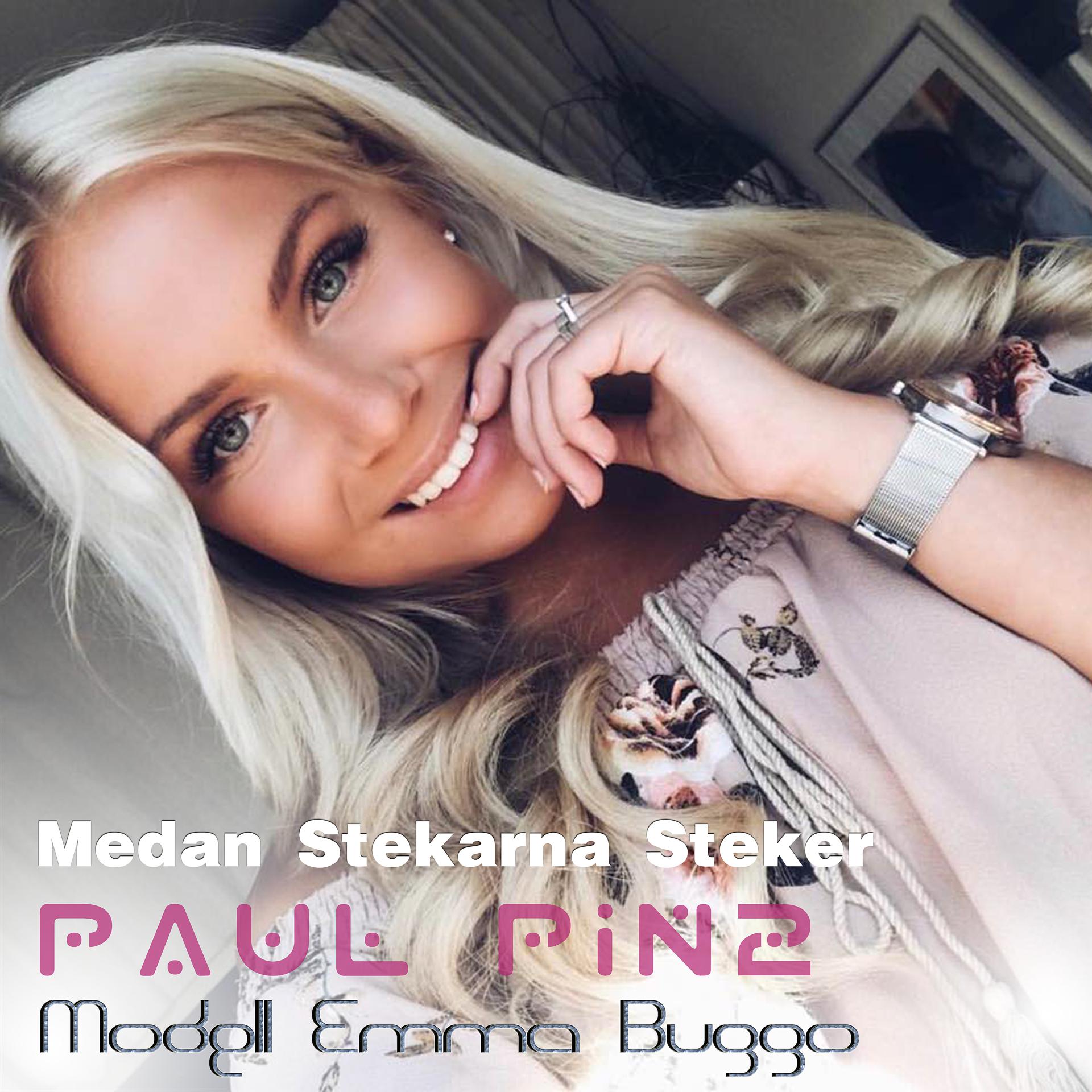Постер альбома Medan Stekarna Steker