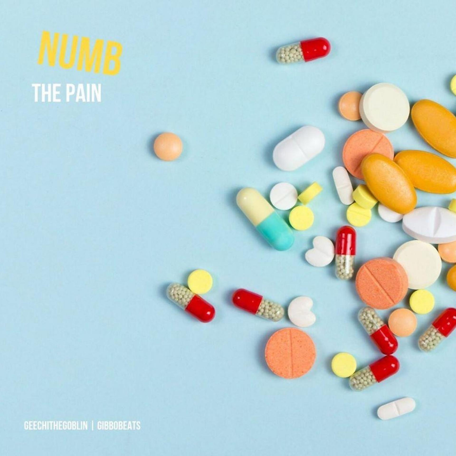 Постер альбома Numb the Pain