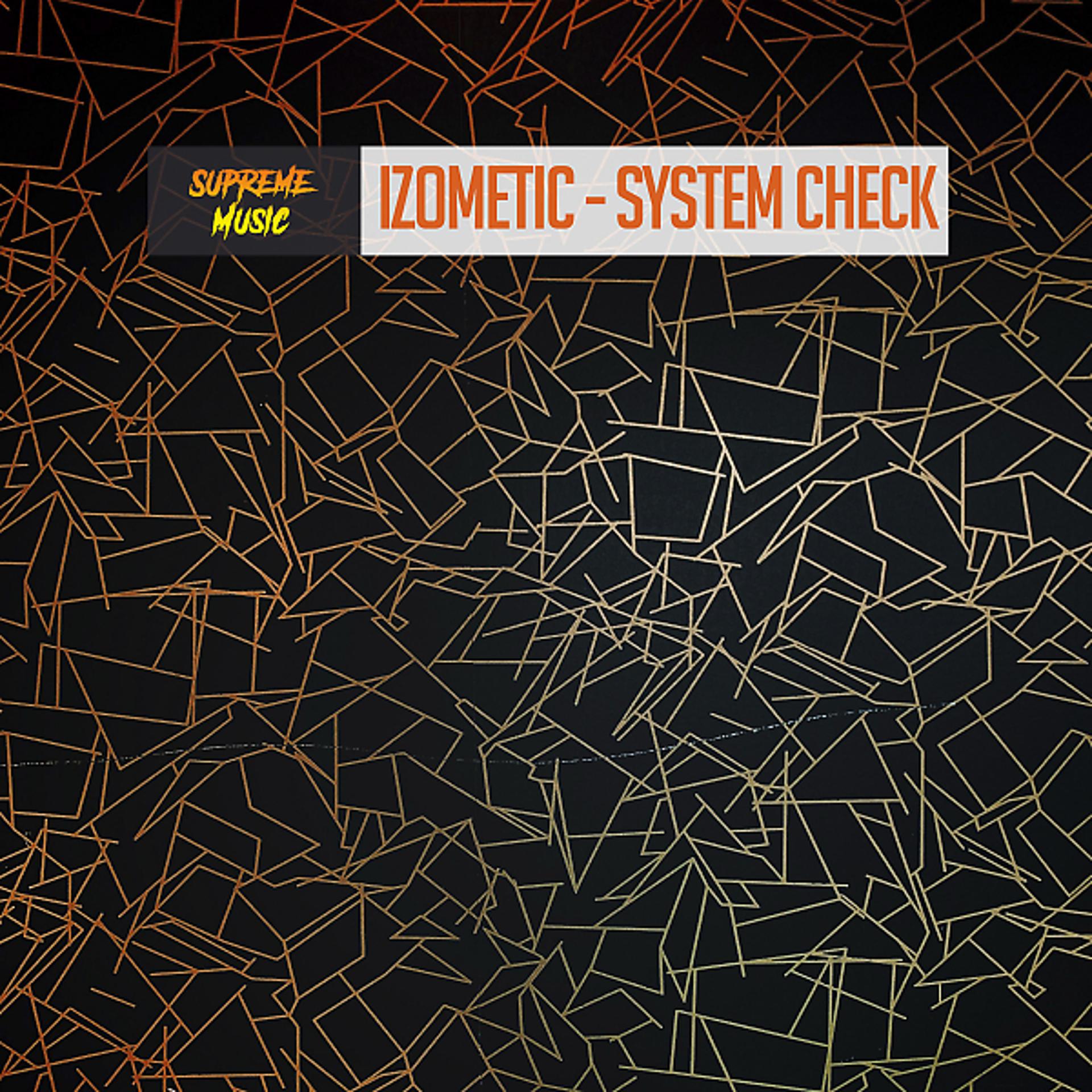 Постер альбома System Check