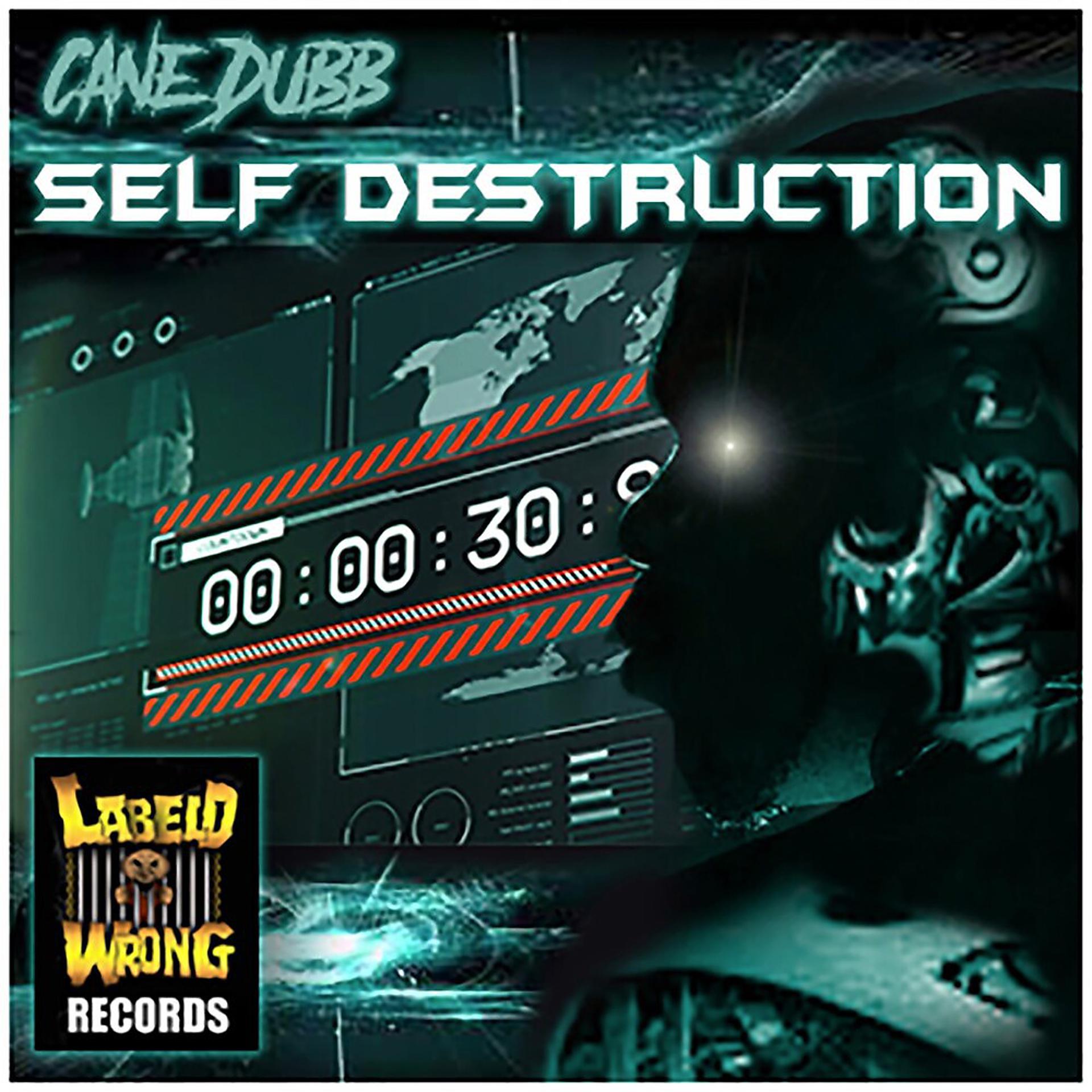 Постер альбома Self Destruction