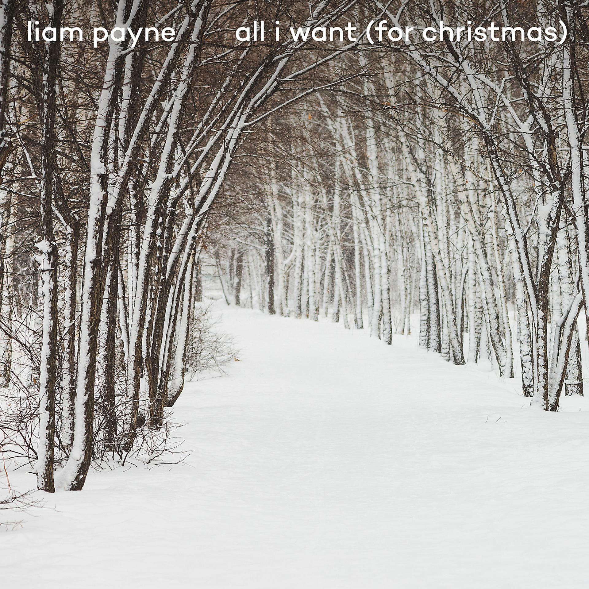 Постер альбома All I Want (For Christmas)
