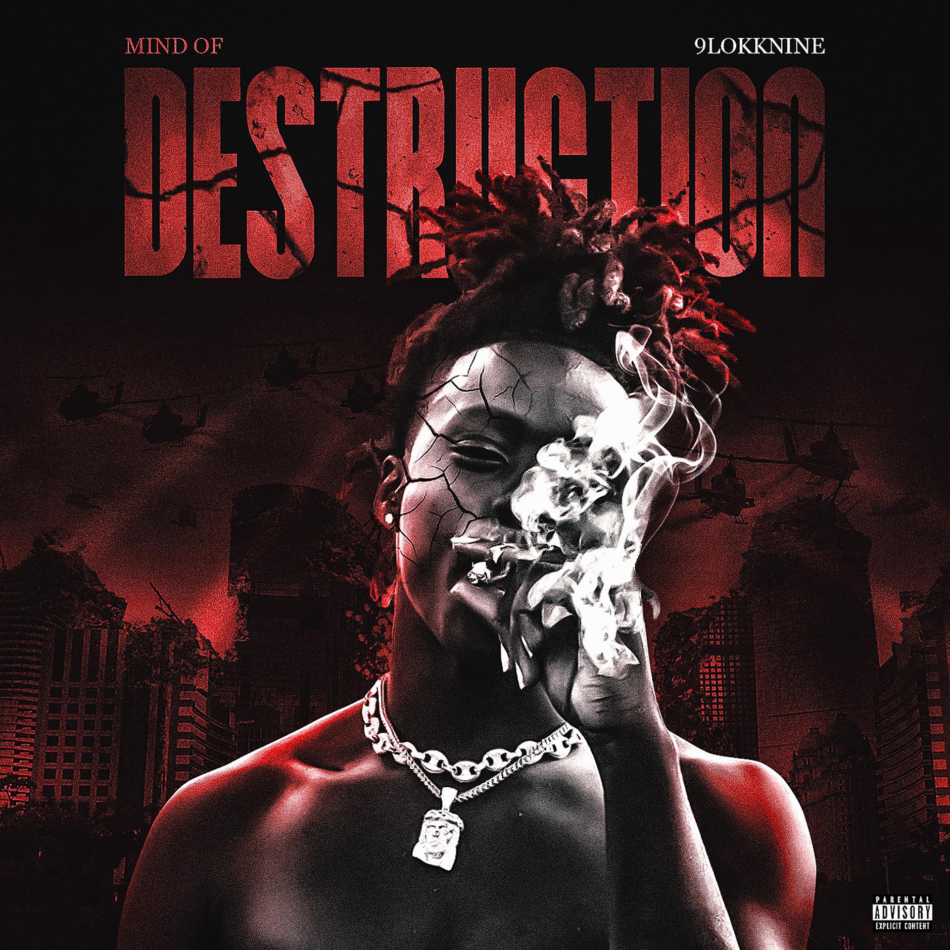 Постер альбома Mind Of Destruction