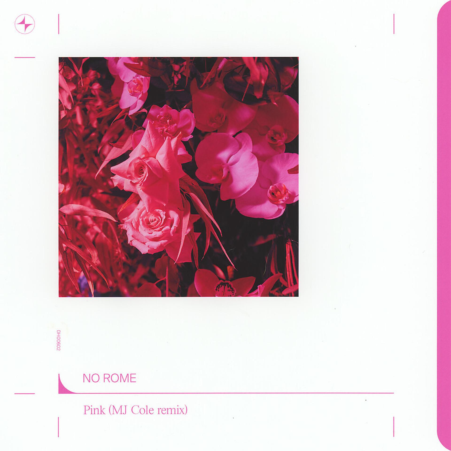 Постер альбома Pink