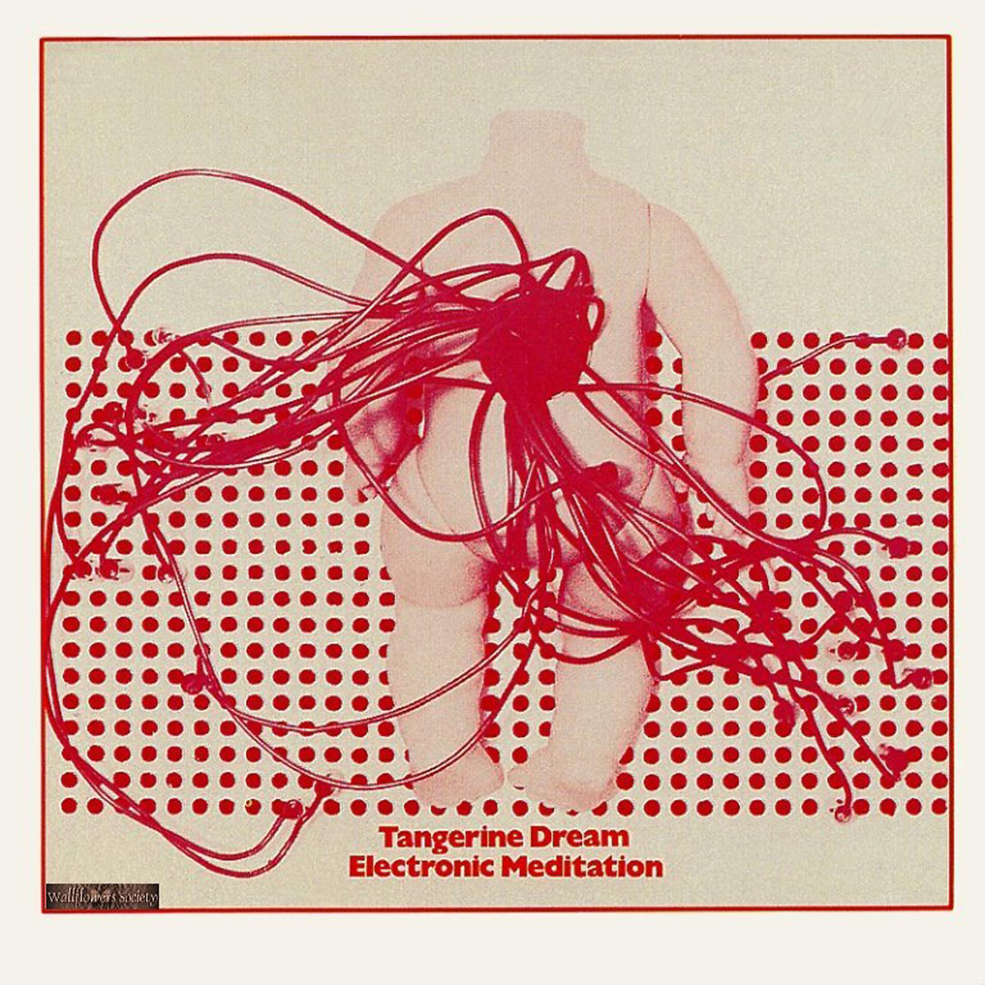 Постер альбома Electronic Meditation