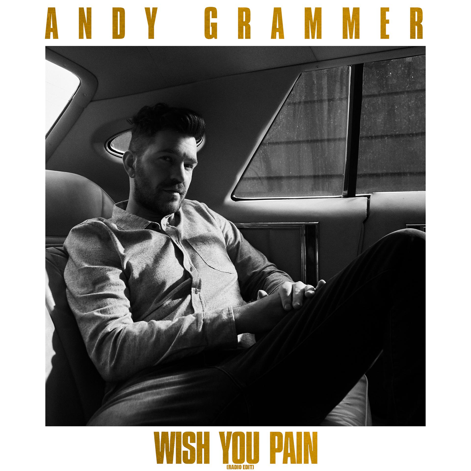 Постер альбома Wish You Pain (Radio Edit)
