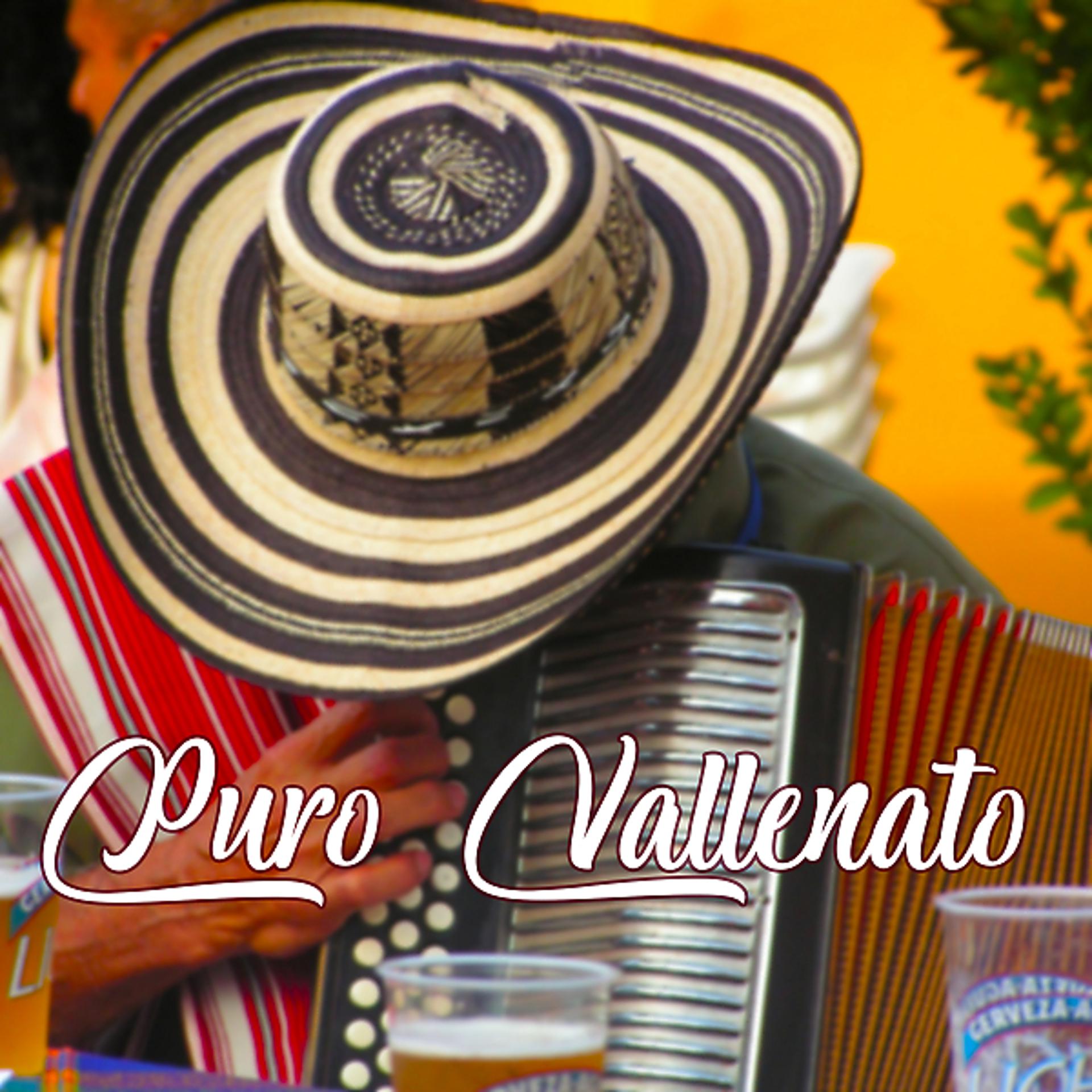 Постер альбома Puro Vallenato