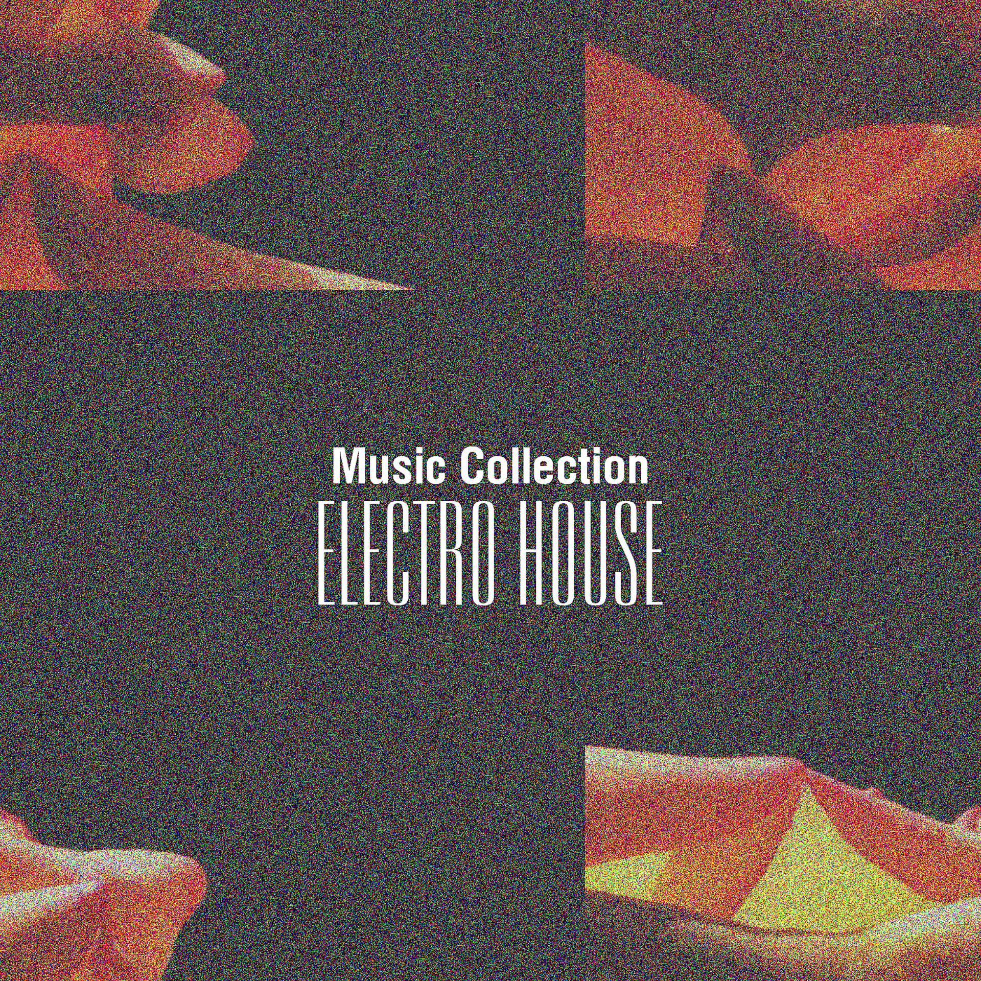 Постер альбома Music Collection. Electro House