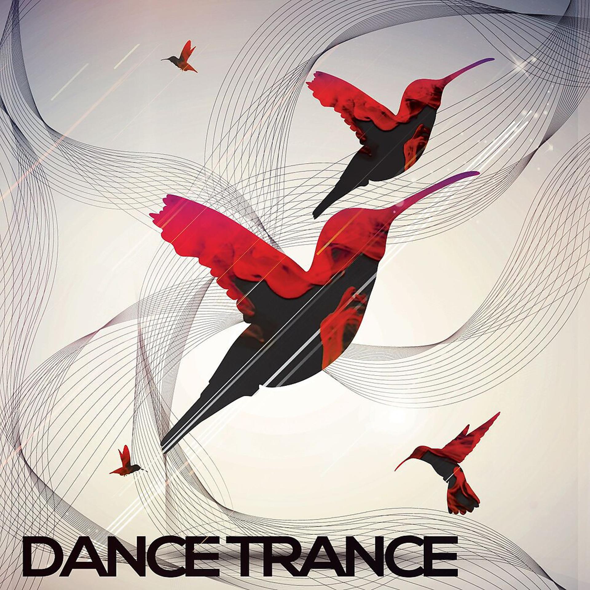 Постер альбома Dance Trance