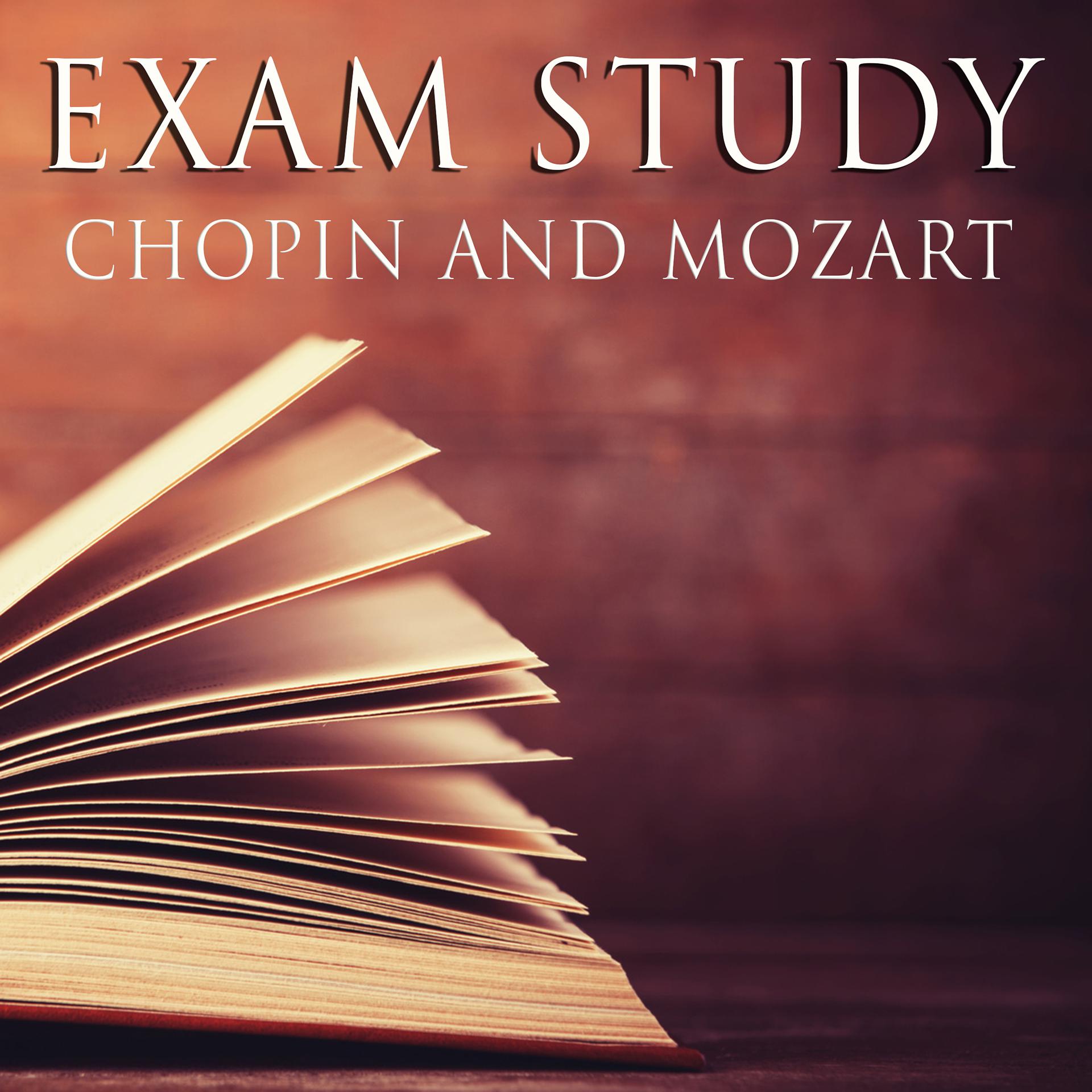 Постер альбома Exam Study
