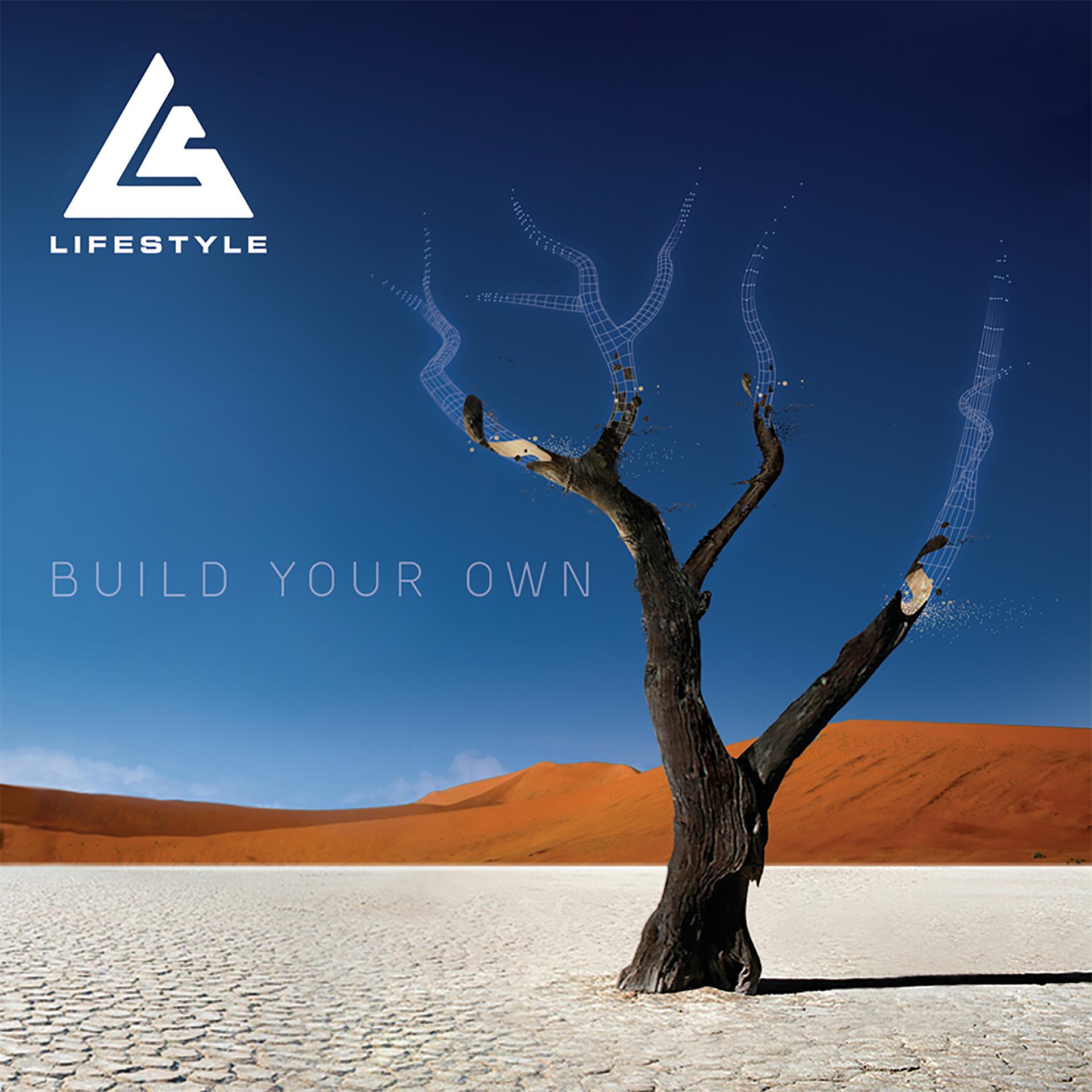 Постер альбома Build Your Own