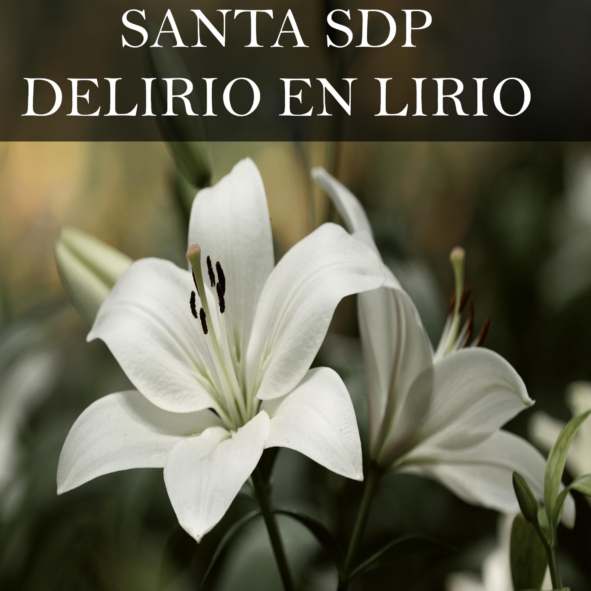 Постер альбома Delirio En Lirio