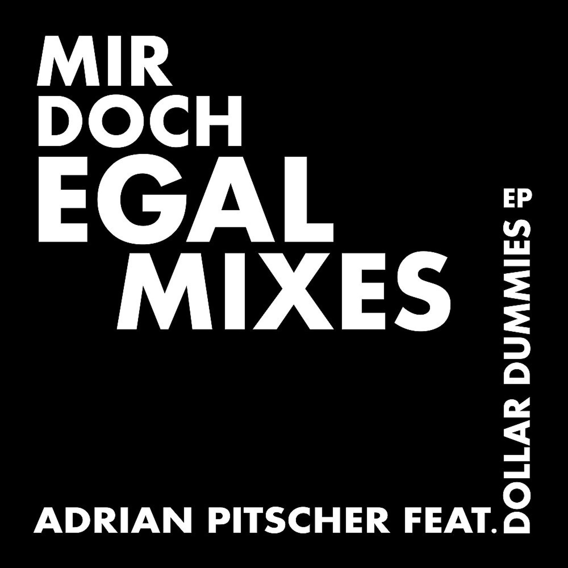 Постер альбома Mir Doch Egal (Mixes)