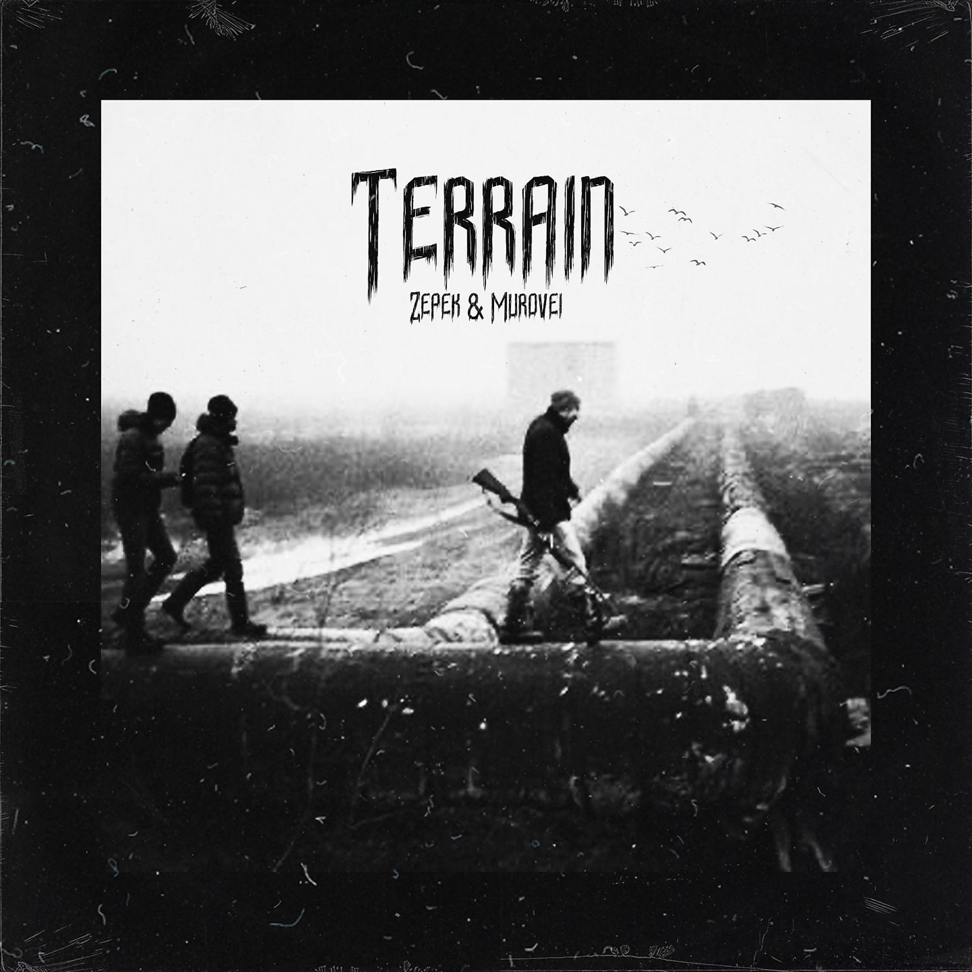 Постер альбома Terrain