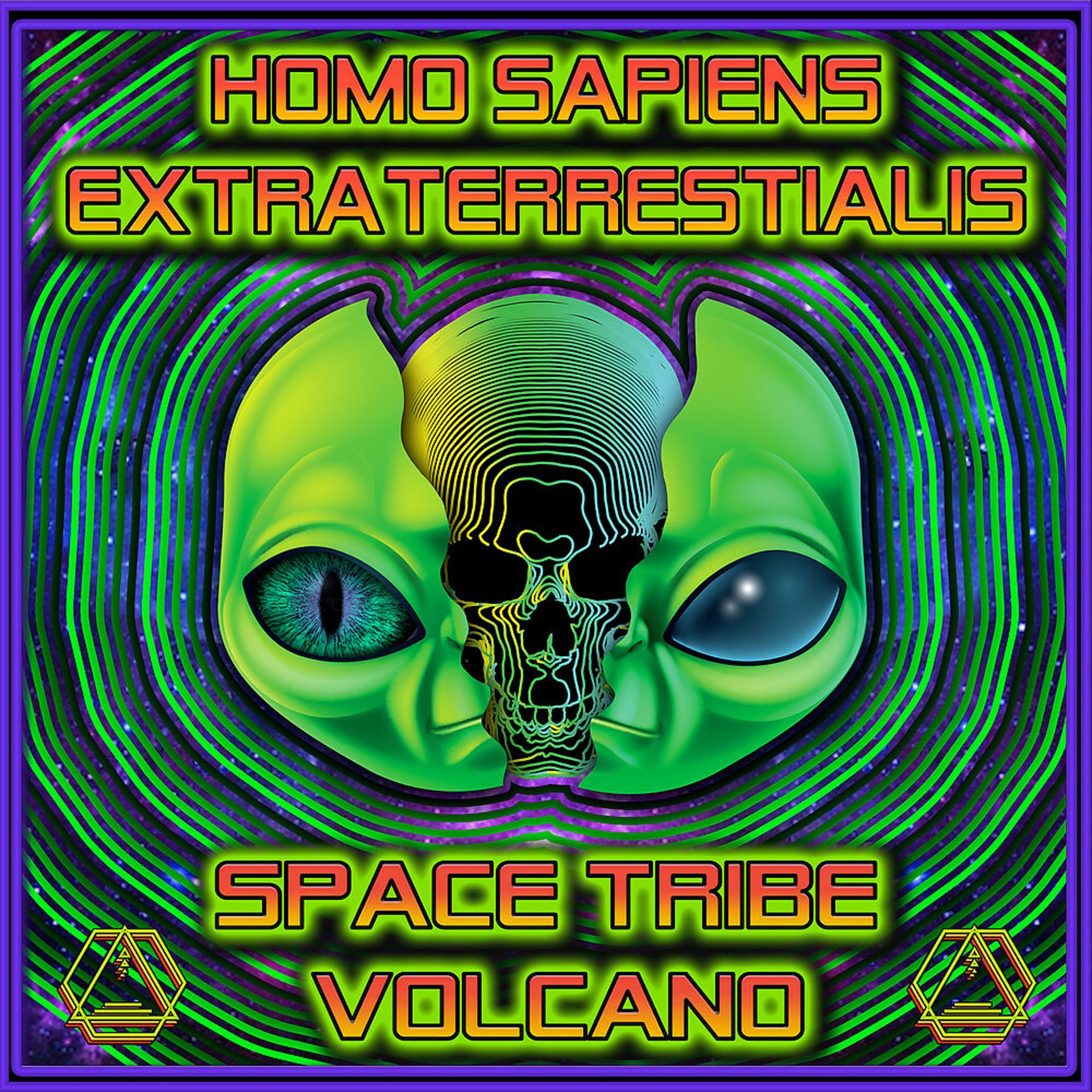 Постер альбома Homo Sapiens Extraterrestrials