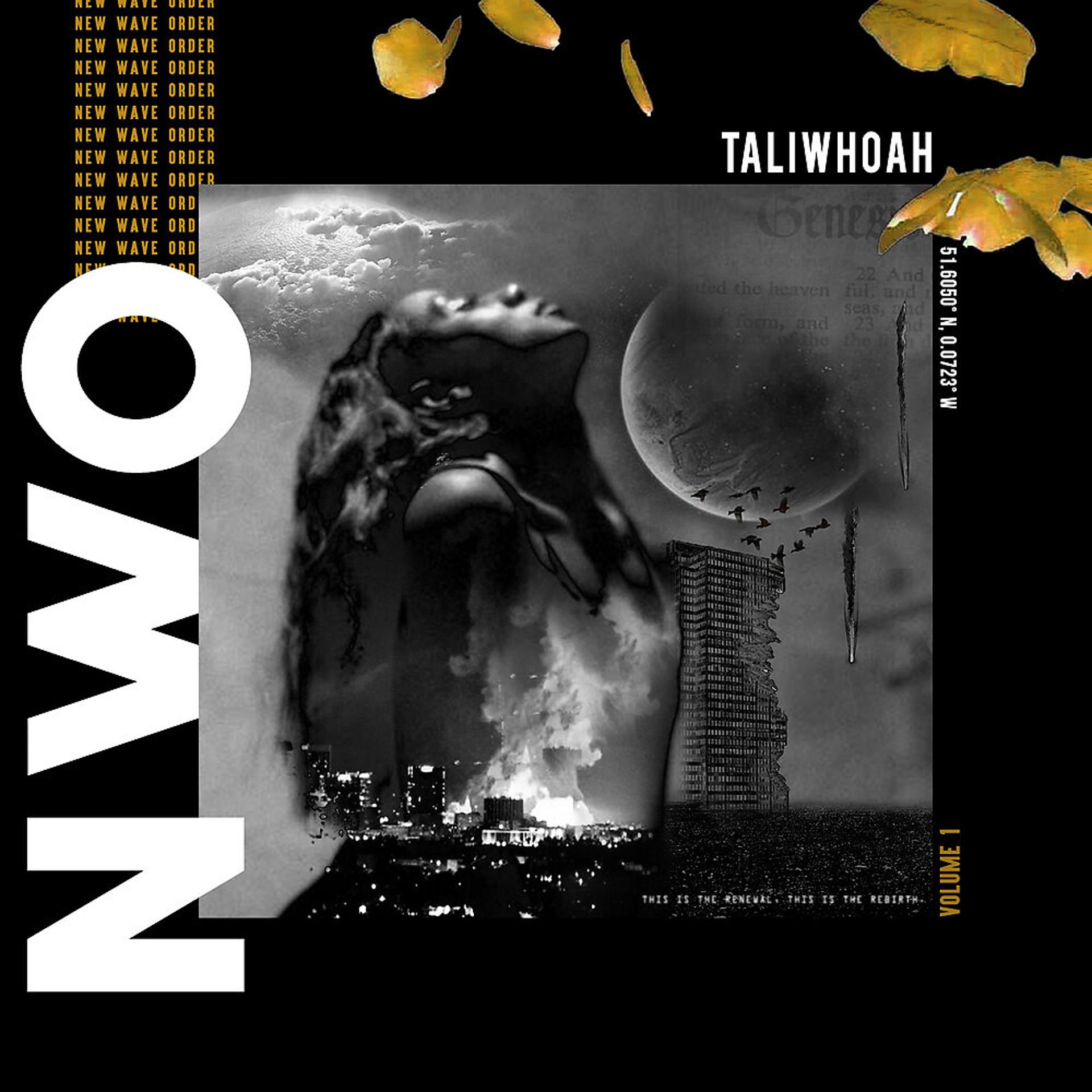 Постер альбома New Wave Order, Vol. 1