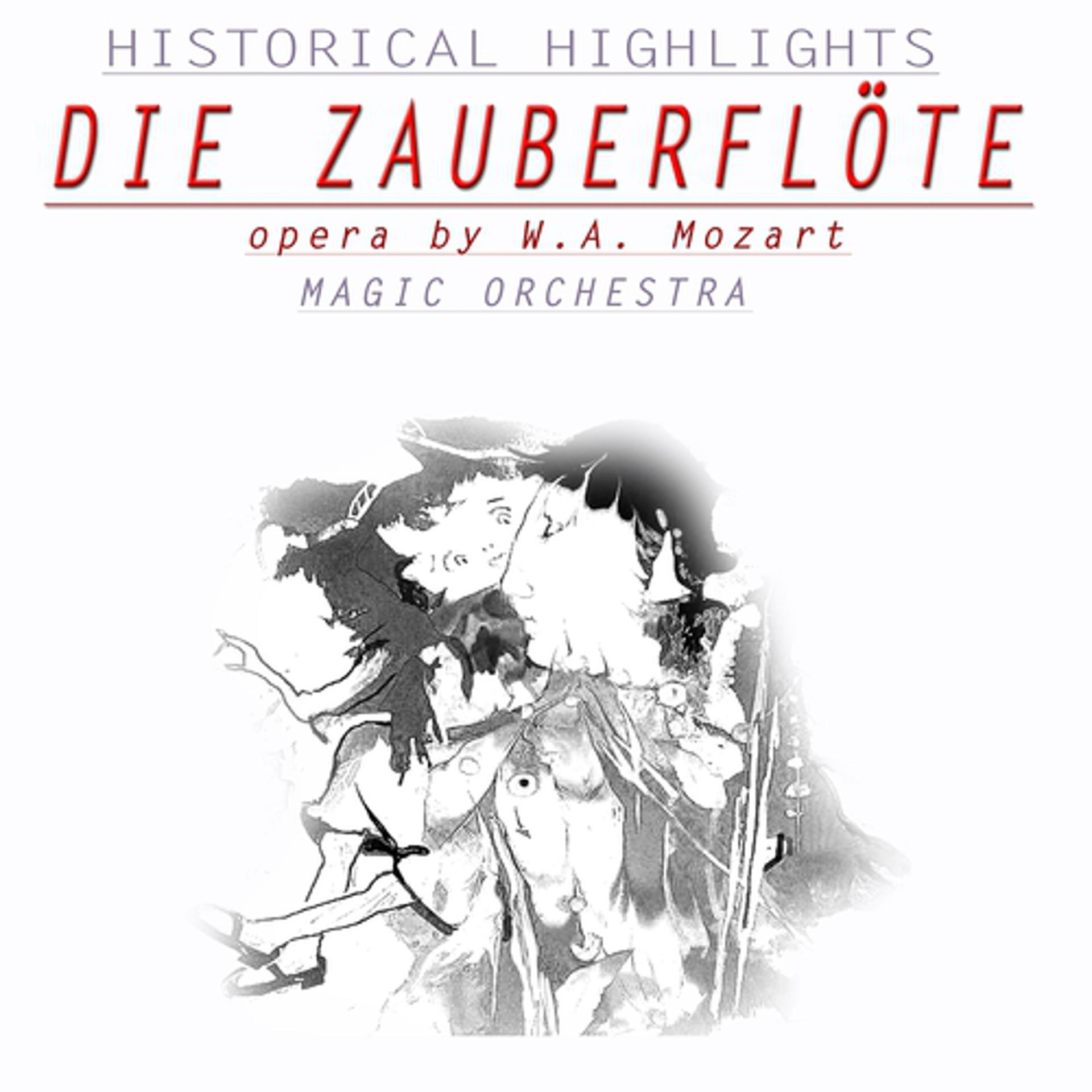 Постер альбома Die Zauberfloete
